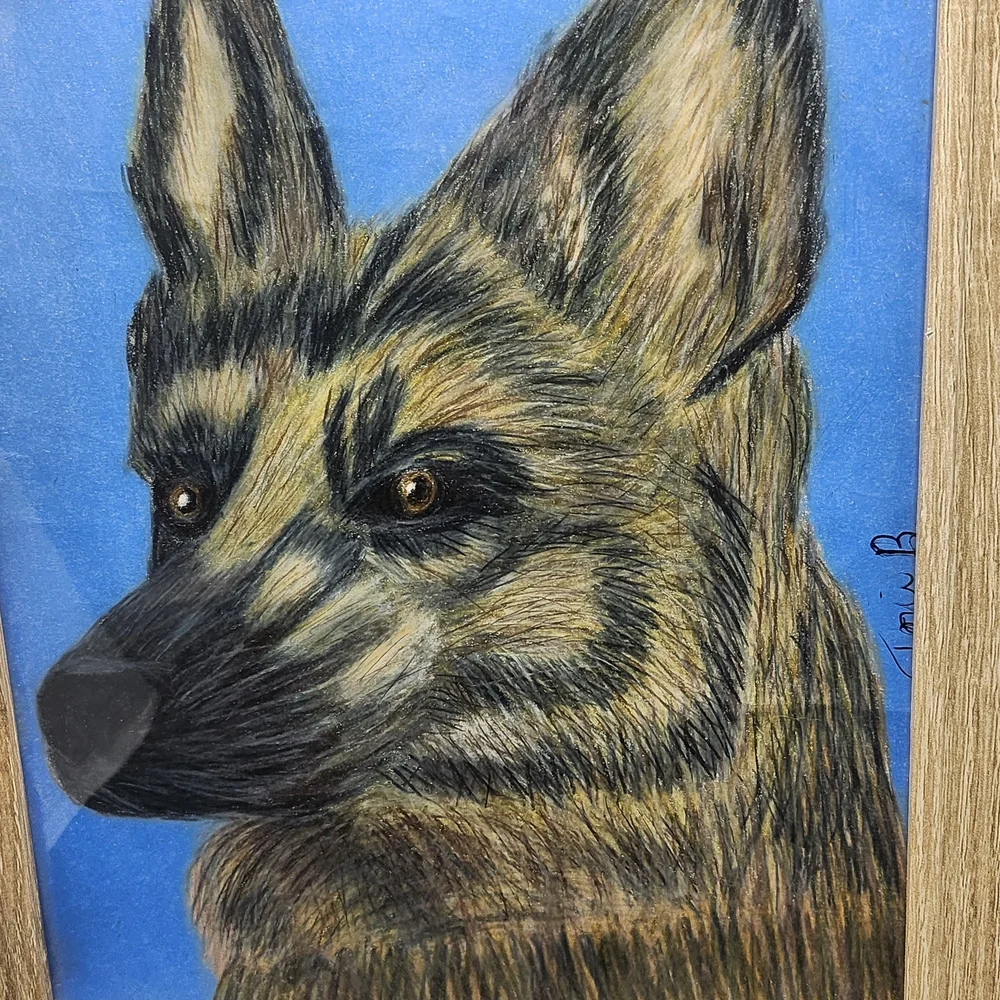 Hand Crafted Framed German Shepherd Colored Pencil Drawing